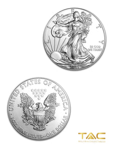 1 oz Silver Coin - 2013 American Silver Eagle - US Mint