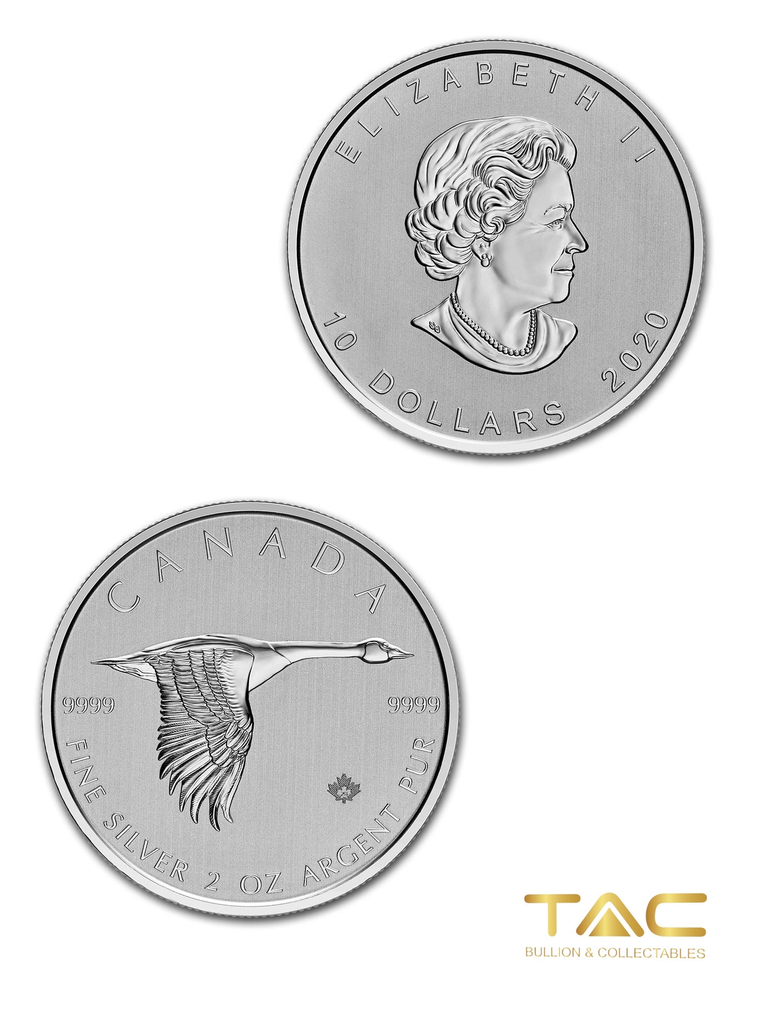 2 oz Silver Coin - 2020 Canadian Goose - Canadian Royal Mint
