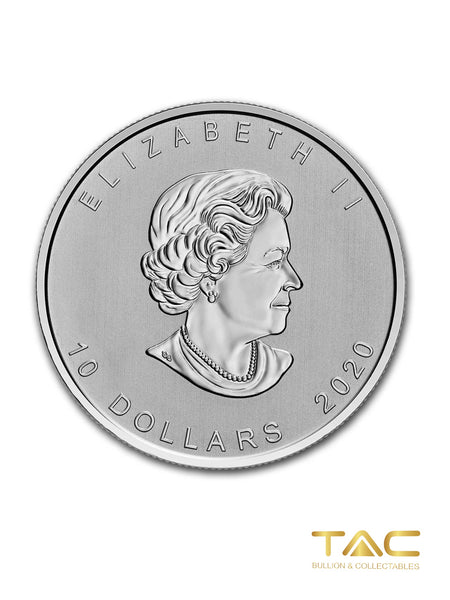 2 oz Silver Coin - 2020 Canadian Goose - Canadian Royal Mint