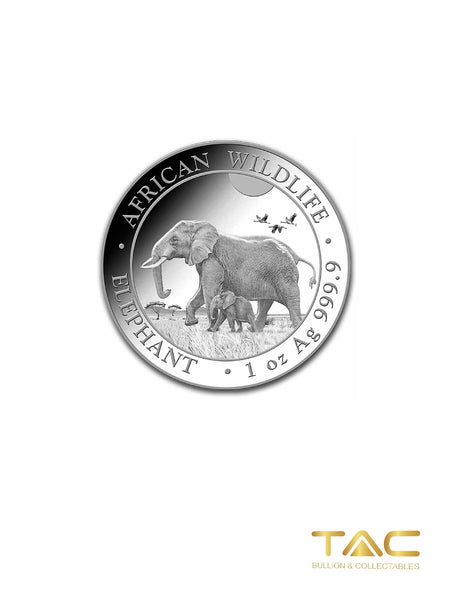 1 oz Silver Coin - 2022 Somalia Elephant - Bavarian State Mint